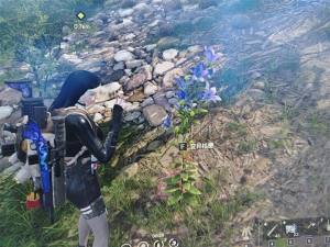 七日世界变异植物怎么得 变异植物获取攻略[图1]