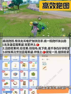 心动小镇跑图最佳路线图分享 昆虫/天气出现时间一览[图2]