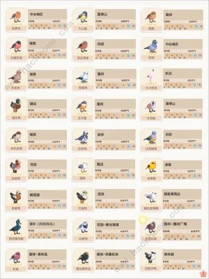 心动小镇观鸟图鉴大全 所有鸟类出现气候条件一览[图4]