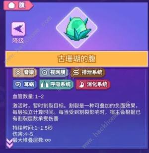 生物原型切割撕裂无尽流怎么搭配 最强万金油流派组合攻略[图3]