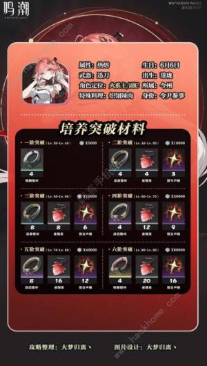 鸣潮长离培养攻略一图流 长离升级培养材料/武器/声骸/配队推荐[图2]