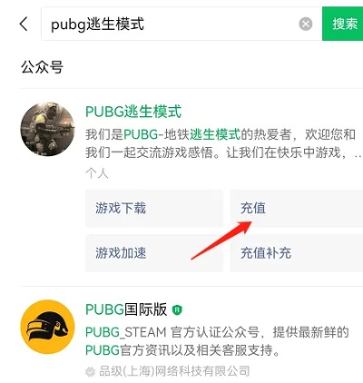 PUBG充值入口[图2]