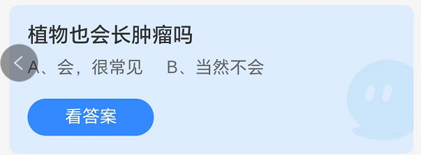 蚂蚁庄园8月20日：植物也会长肿瘤吗[图1]