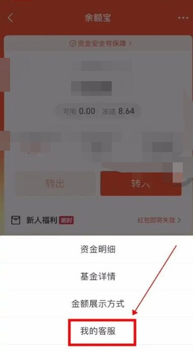 支付宝冻结的钱怎么取出来[图4]