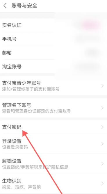 支付宝密码怎么设置[图4]