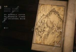 黑神话悟空boss排序图    boss击杀顺序图鉴[图10]
