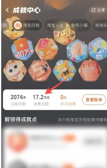 淘宝消费总金额怎么看[图4]