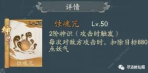 寻道大千神通神识排行榜 最强神识选择推荐[图5]