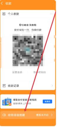 支付宝收款语音播报怎么设置[图5]