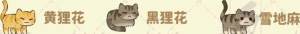 桃源深处有人家猫咪喜好大全 所有猫咪喜好礼物一览[图2]