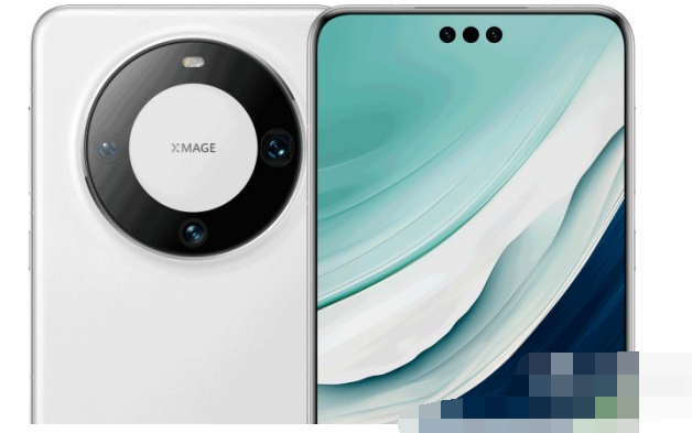 华为Mate60有没有灵动岛[图1]