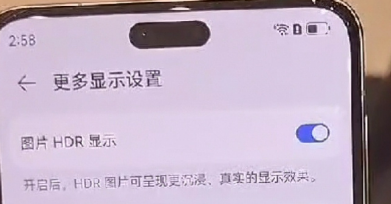 华为Mate60有没有灵动岛[图3]