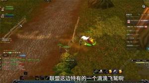 魔兽世界乌龟服乌龟坐骑怎么得 乌龟坐骑获取技巧[图3]