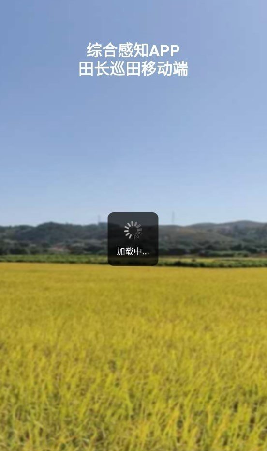 综合感知截图3