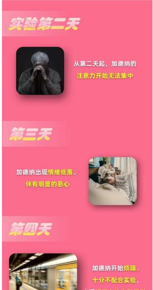 淘宝大赢家9月27日：如果人类不睡觉最多能撑多少天[图4]