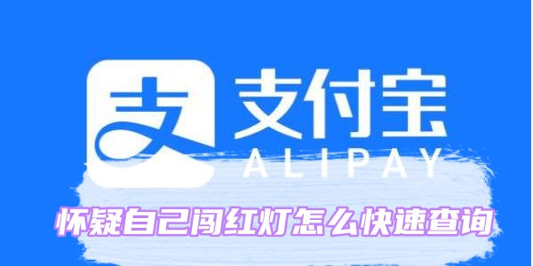 怀疑自己闯红灯怎么快速查询[图1]