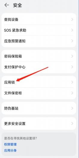 华为手机app怎么设置密码[图3]