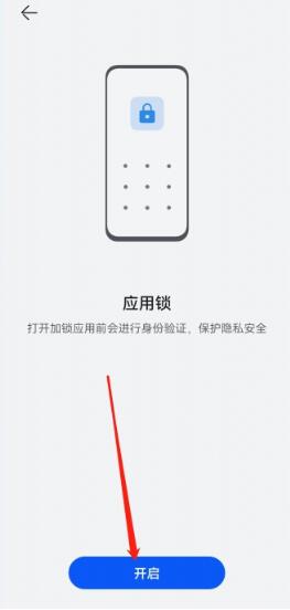 华为手机app怎么设置密码[图4]