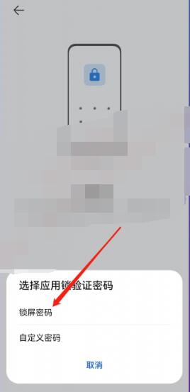 华为手机app怎么设置密码[图5]