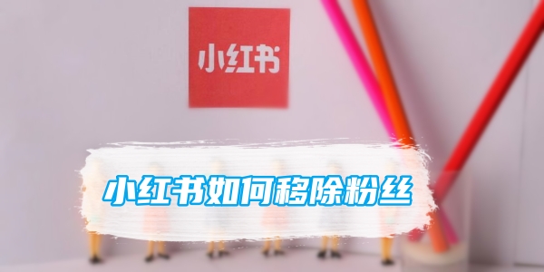 小红书如何移除粉丝[图1]