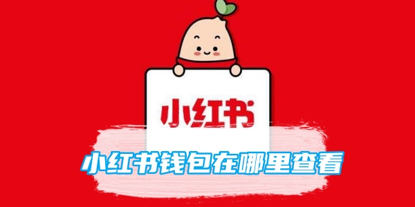 小红书钱包在哪里查看[图1]