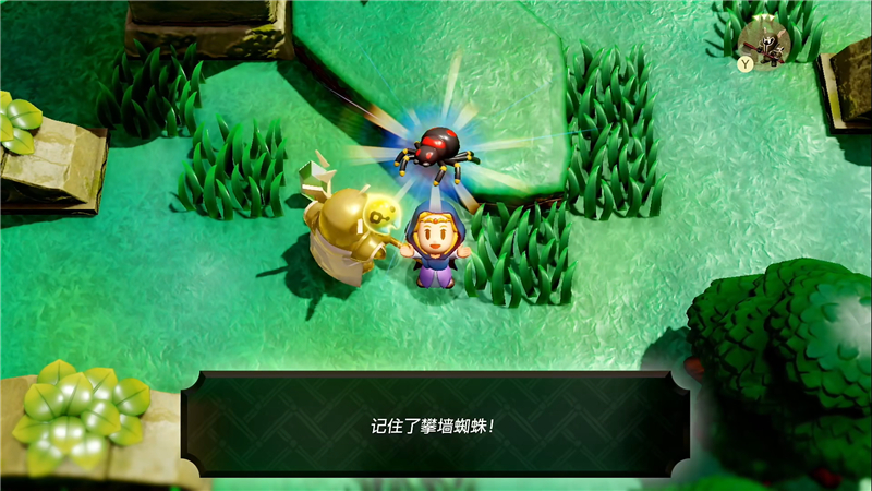 塞尔达传说智慧‌攀墙蜘蛛获取方法[图6]