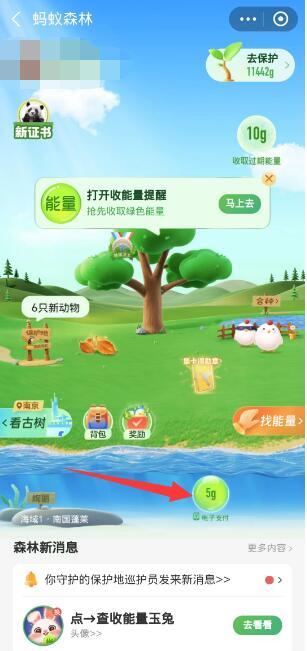 蚂蚁森林神奇海洋今日答案[图2]