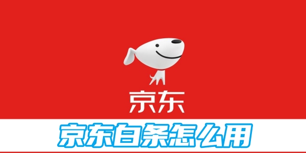 京东白条怎么用[图1]