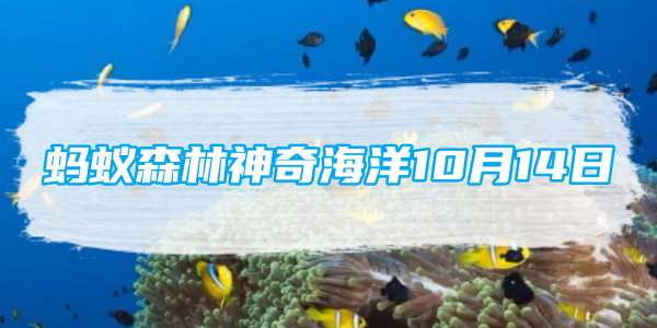 蚂蚁森林神奇海洋10月14日：为了躲避鲨鱼攻击海鬣蜥会选择以下哪种奇招[图1]