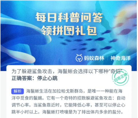 蚂蚁森林神奇海洋10月14日：为了躲避鲨鱼攻击海鬣蜥会选择以下哪种奇招[图3]