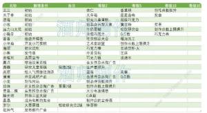 创意蛋糕店2023攻略大全 新手必备食谱配方技巧总汇[图5]