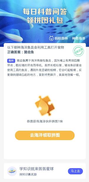 蚂蚁森林神奇海洋10月16日：以下哪种海洋鱼类会利用工具打开食物[图3]
