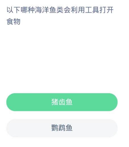 蚂蚁森林神奇海洋10月16日：以下哪种海洋鱼类会利用工具打开食物[图2]