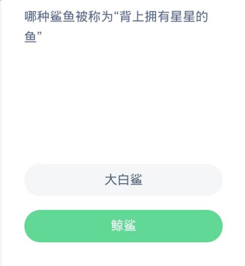 蚂蚁森林神奇海洋10月17日：哪种鲨鱼被称为背上拥有星星的鱼[图2]
