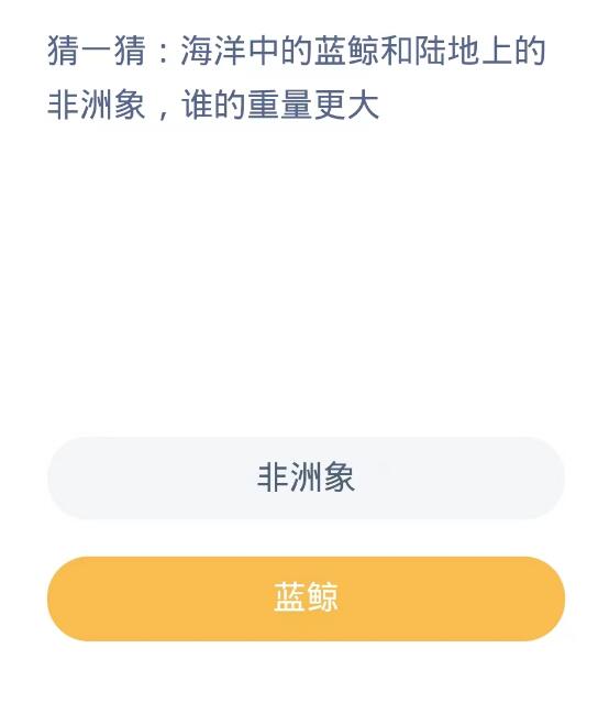 蚂蚁森林神奇海洋10月19日：海洋中的蓝鲸和陆地上的非洲象谁的重量更大[图2]