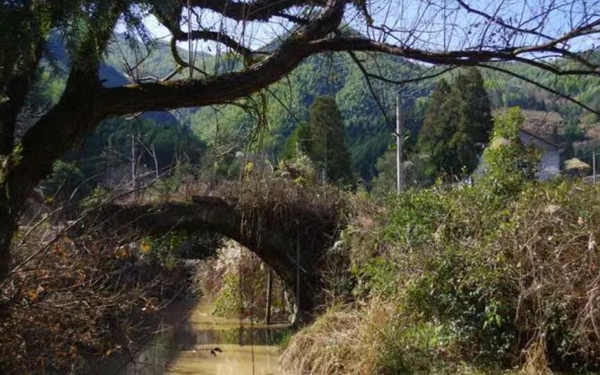蚂蚁庄园10月21日：枯藤老树昏鸦小桥流水人家描写的是哪个季节的景物[图3]