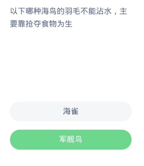 蚂蚁森林神奇海洋10月20日：以下哪种海鸟的羽毛不能沾水主要靠抢夺食物为生[图2]