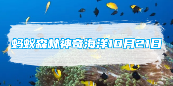 蚂蚁森林神奇海洋10月21日：海星有嘴巴吗[图1]