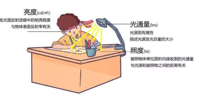 蚂蚁庄园10月23日：晚上看书写字时台灯的灯光越亮对眼睛越好吗[图3]