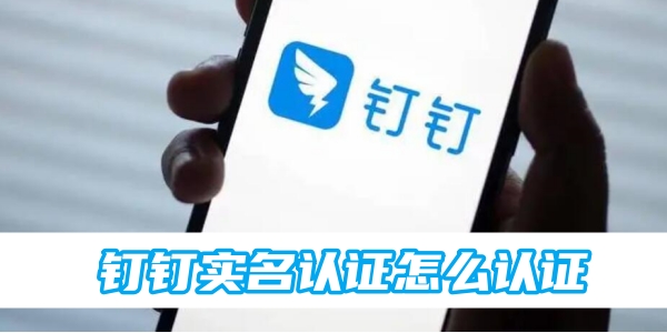 钉钉实名认证怎么认证[图1]