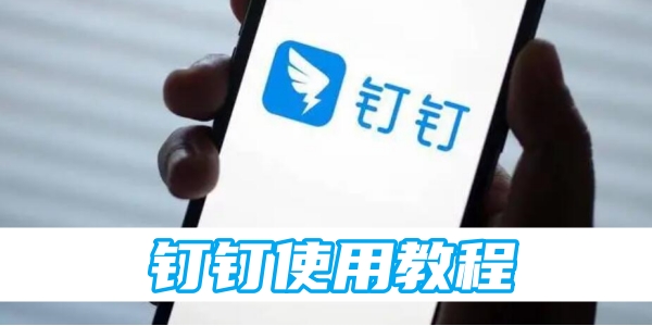 钉钉使用教程[图1]