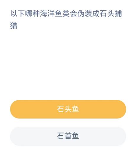 蚂蚁森林神奇海洋10月25日：以下哪种海洋鱼类会伪装成石头捕猎[图2]