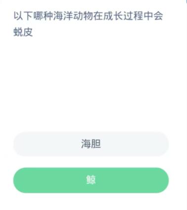 蚂蚁森林神奇海洋10月27日：以下哪种海洋动物在成长过程中会蜕皮[图2]