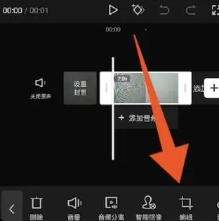 剪映怎么去除视频上原有的文字[图3]