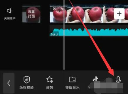 剪映怎么给视频配音[图4]