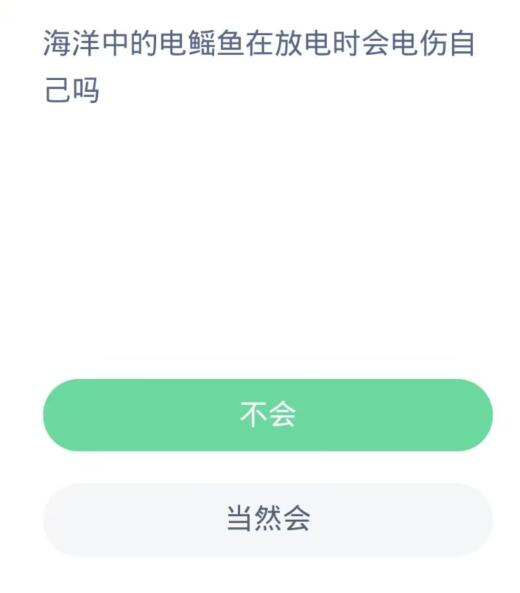蚂蚁森林神奇海洋10月30日：海洋中的电鳐鱼在放电时会电伤自己吗[图2]