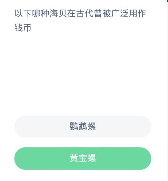 蚂蚁森林神奇海洋11月1日：以下哪种海贝在古代曾被广泛用作钱币[图2]