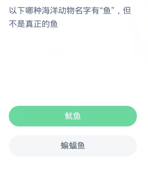 蚂蚁森林神奇海洋11月4日：以下哪种海洋动物名字有鱼但不是真正的鱼[图2]