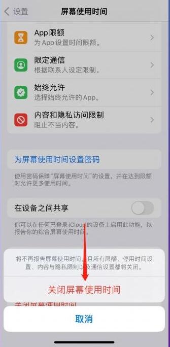 苹果手机儿童功能怎么设置[图4]