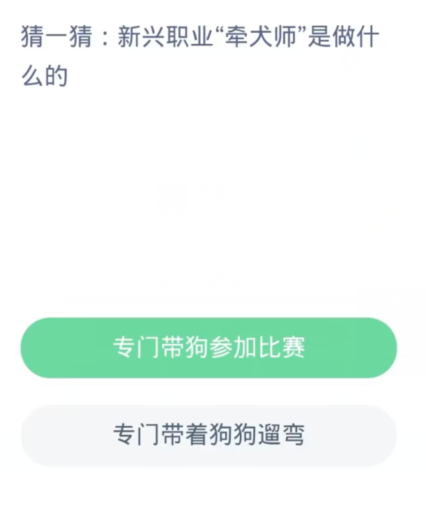 蚂蚁新村每日一题11.4：新兴职业牵犬师是做什么的[图2]